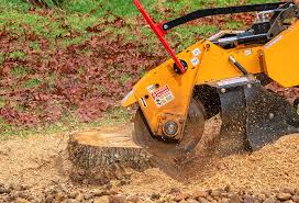 Best Lot and Land Clearing  in Desnso, CA